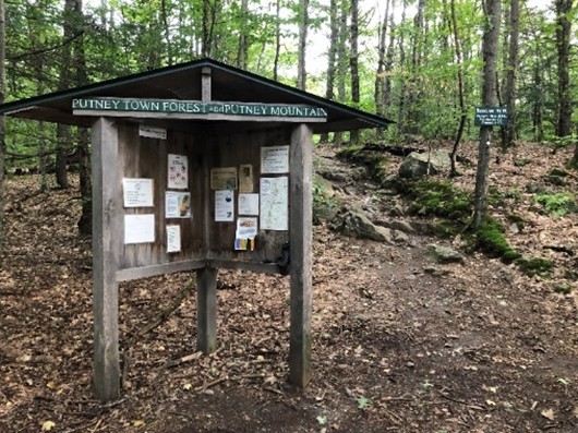 Putney Mountain Trailhead